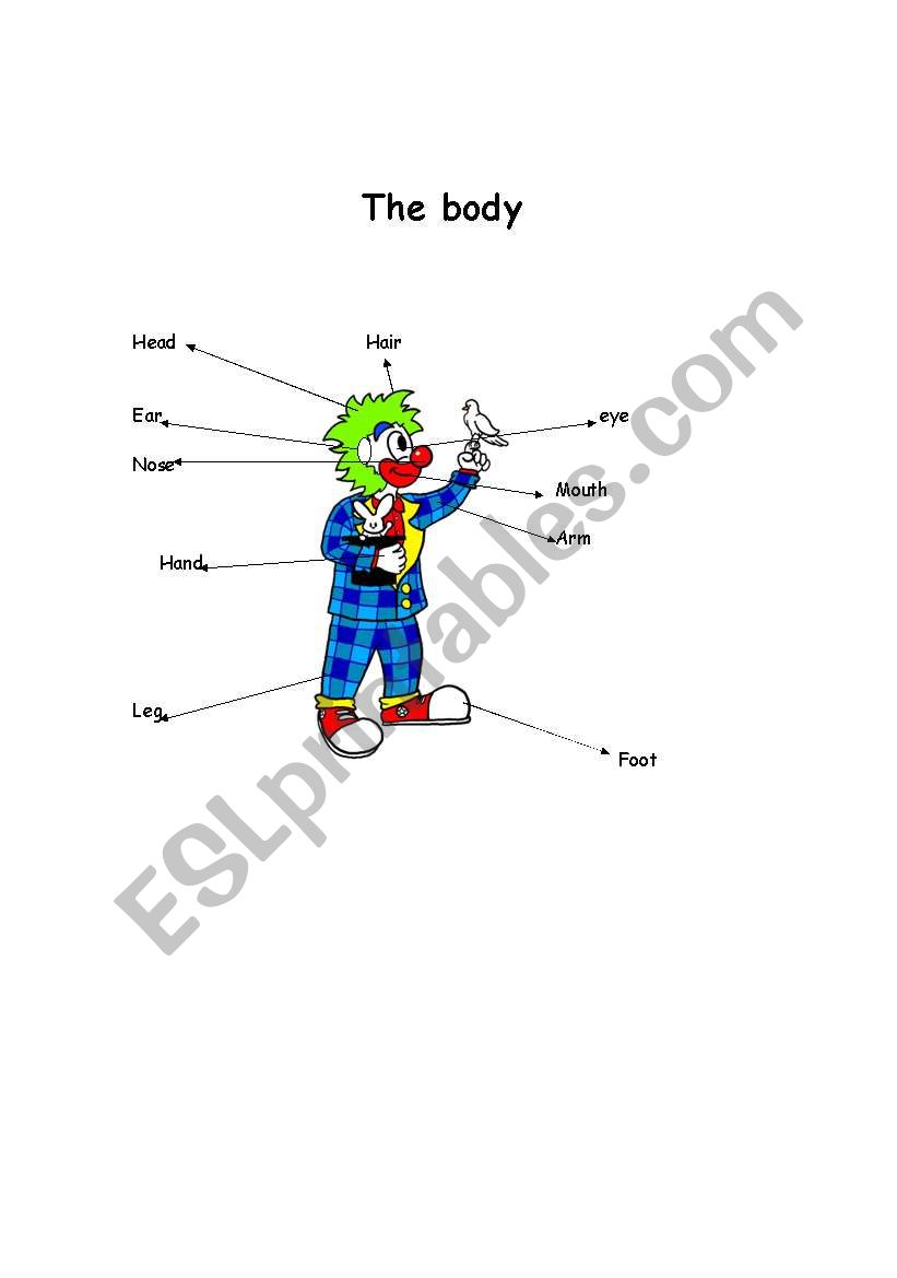 The parts of the body worksheet