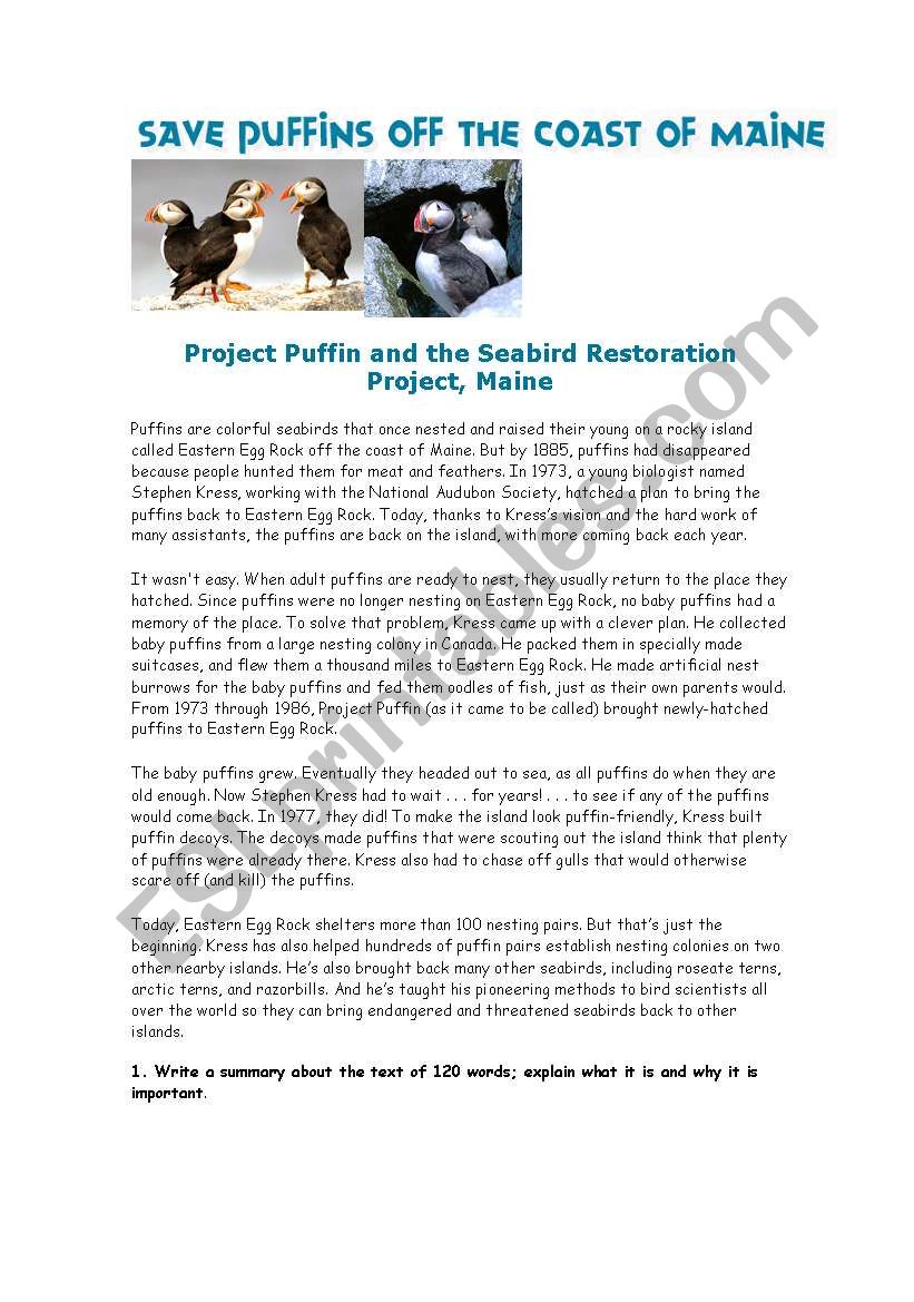 project puffins worksheet