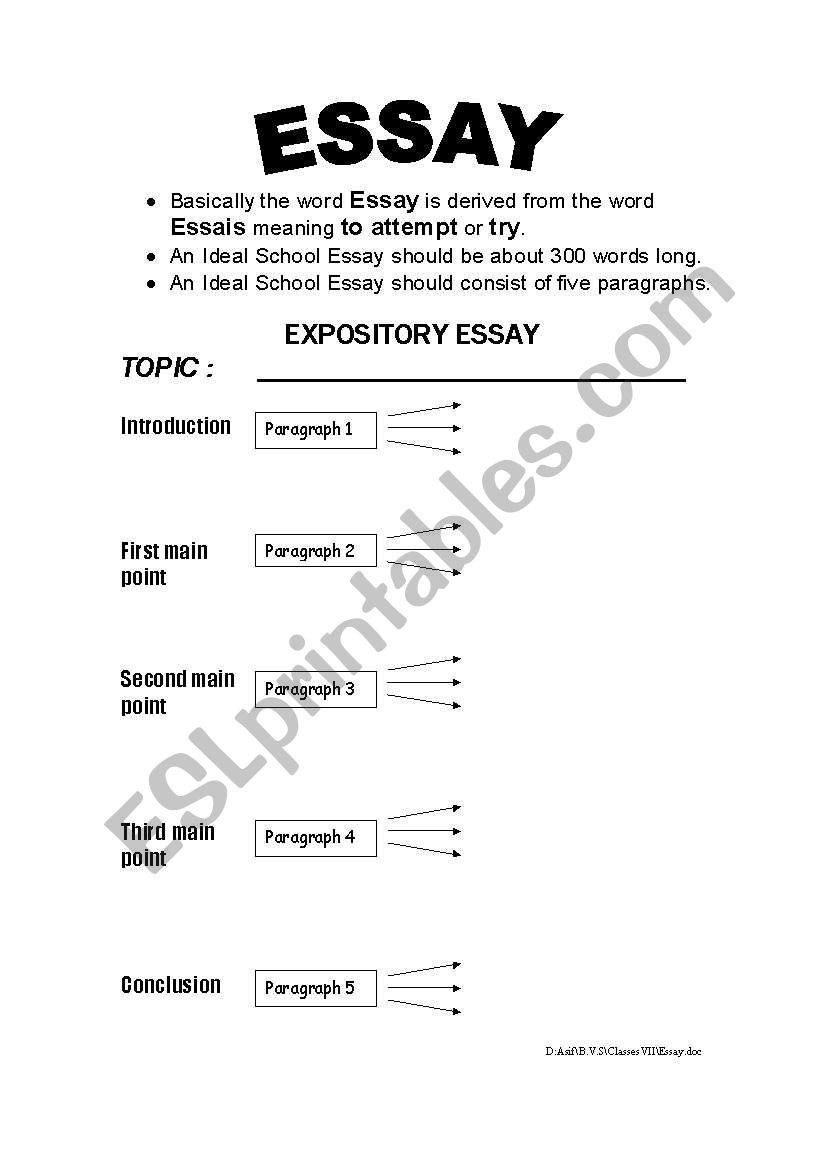 essay example esl