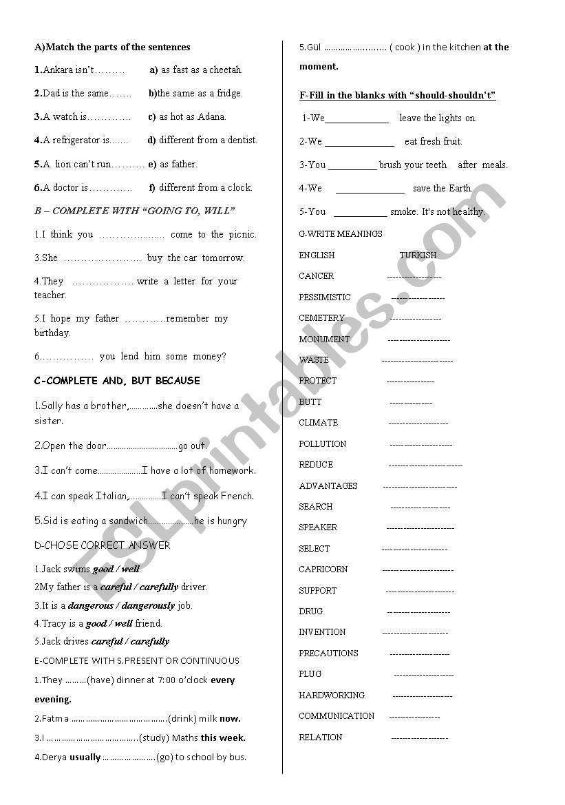 worksheet  worksheet