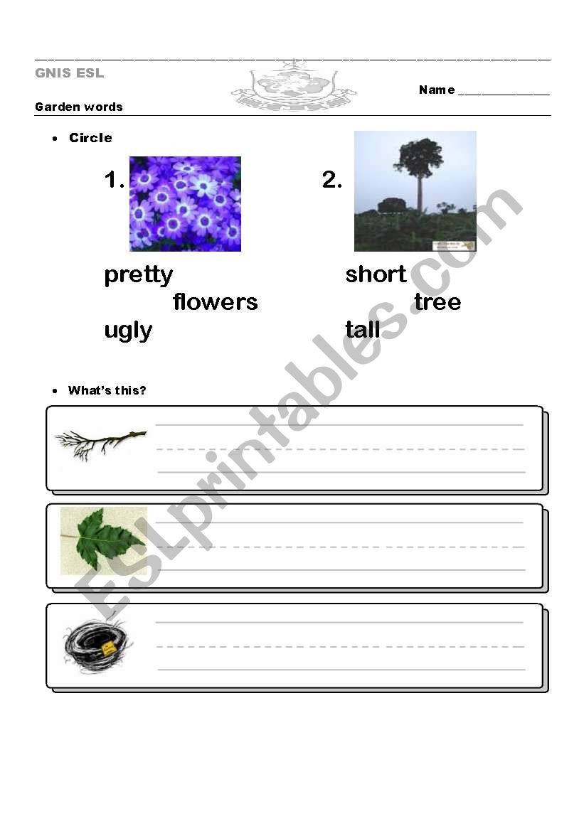 Garden Vocabulary worksheet