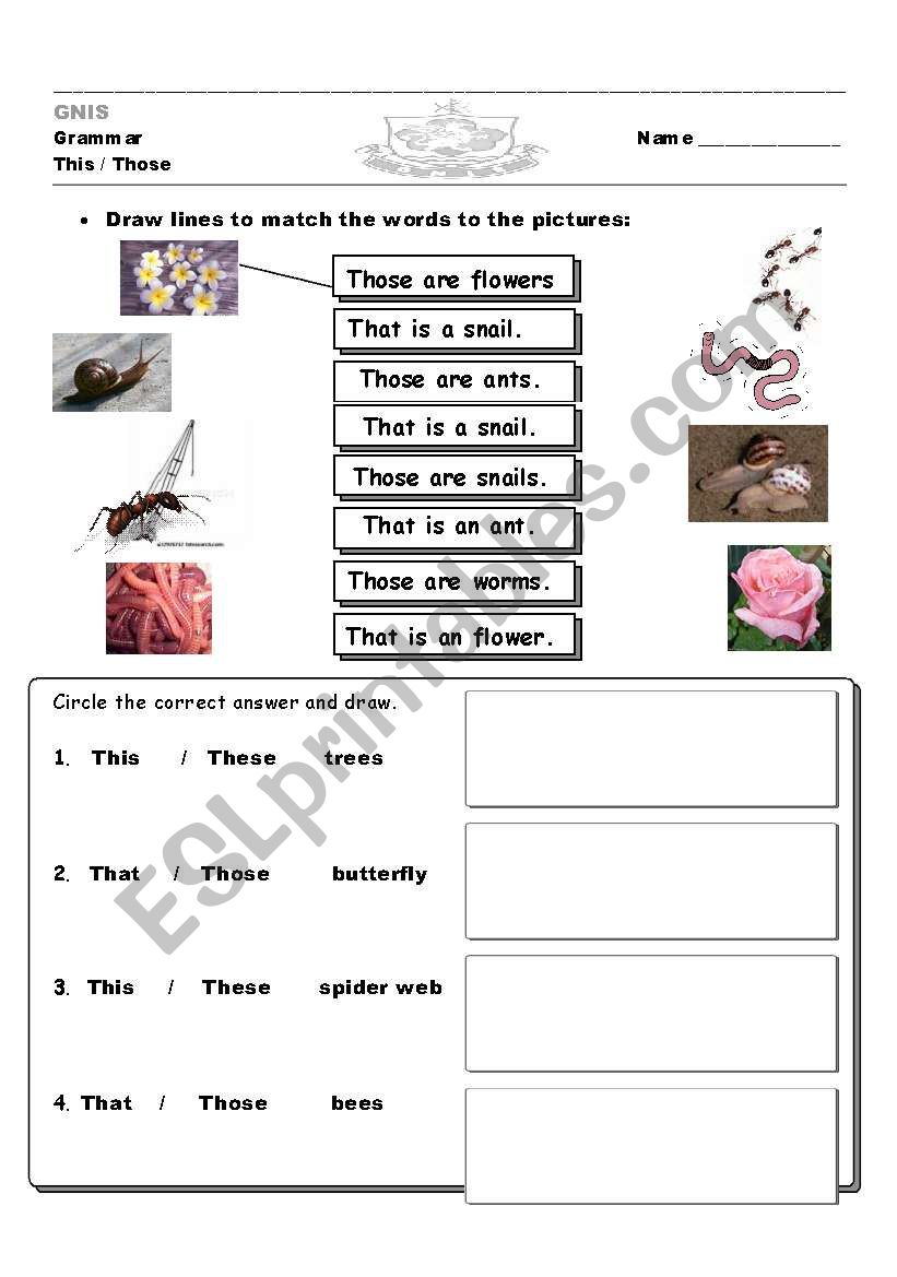 This is in a garden worksheet