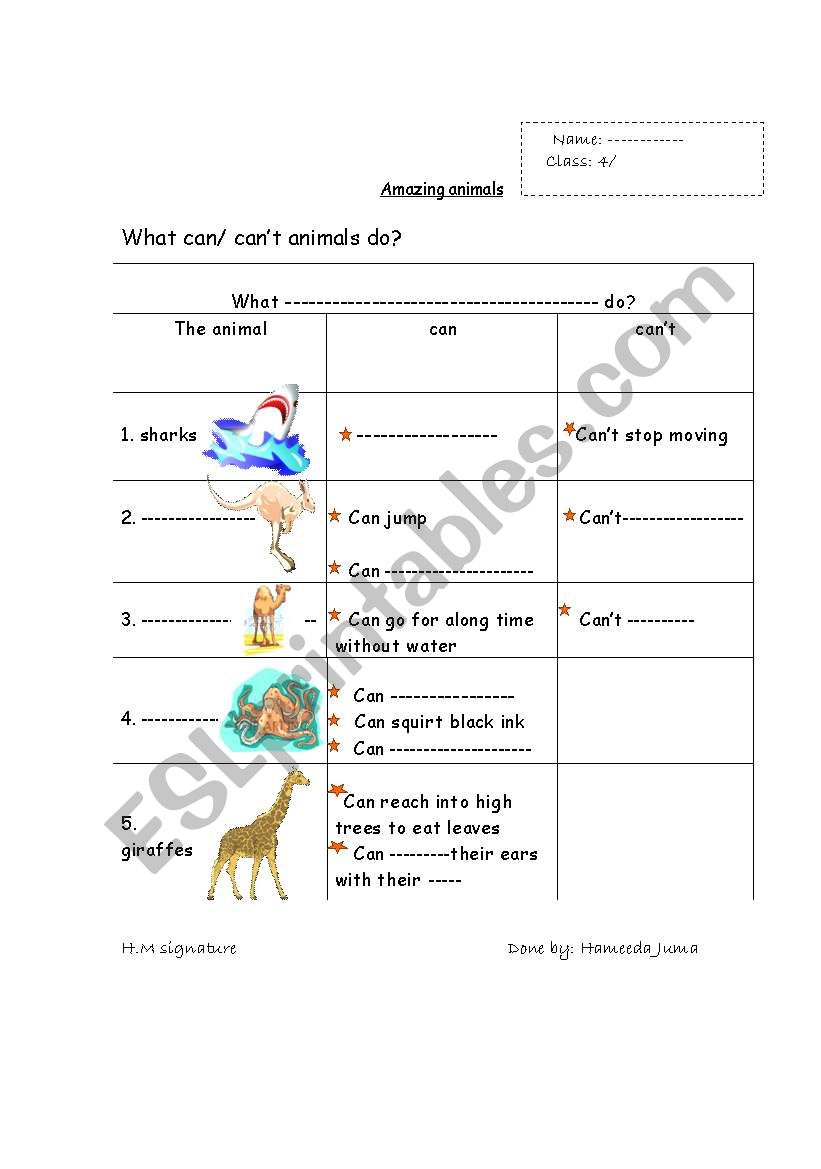 what can/ cant animals do worksheet