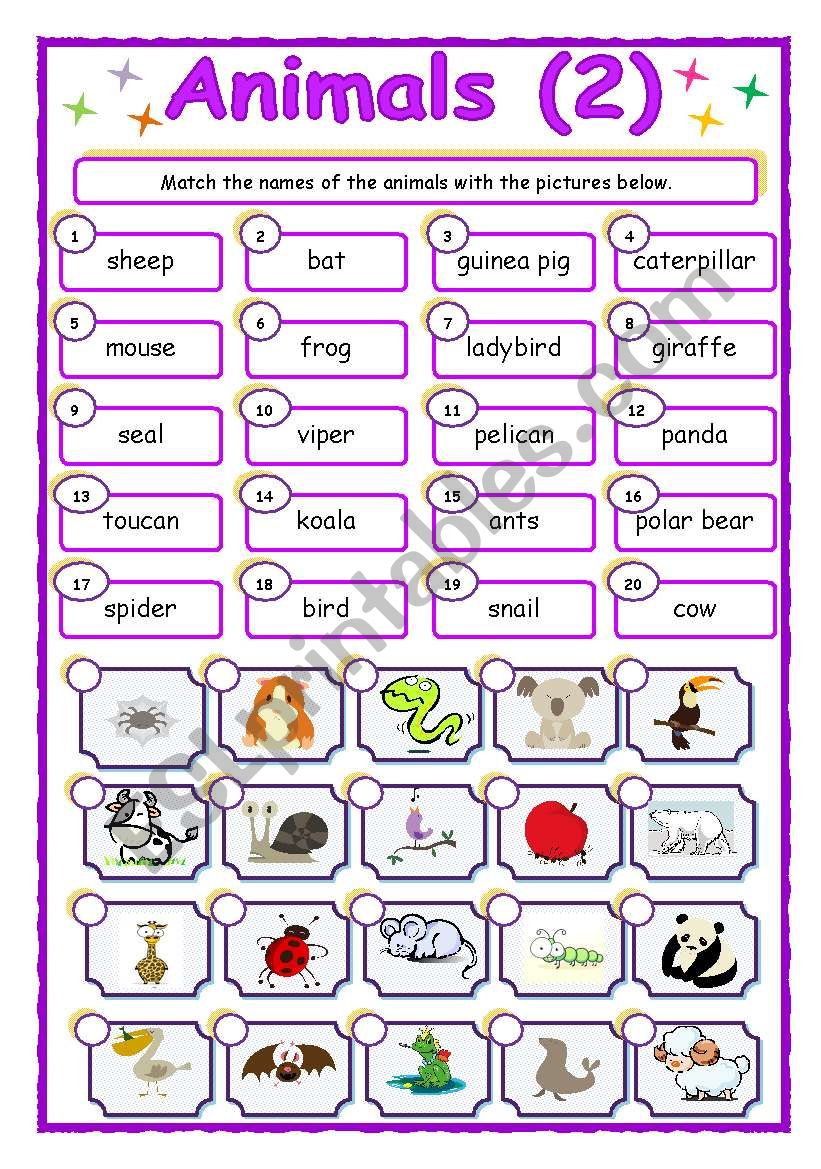 Animals - matching (2/3) worksheet