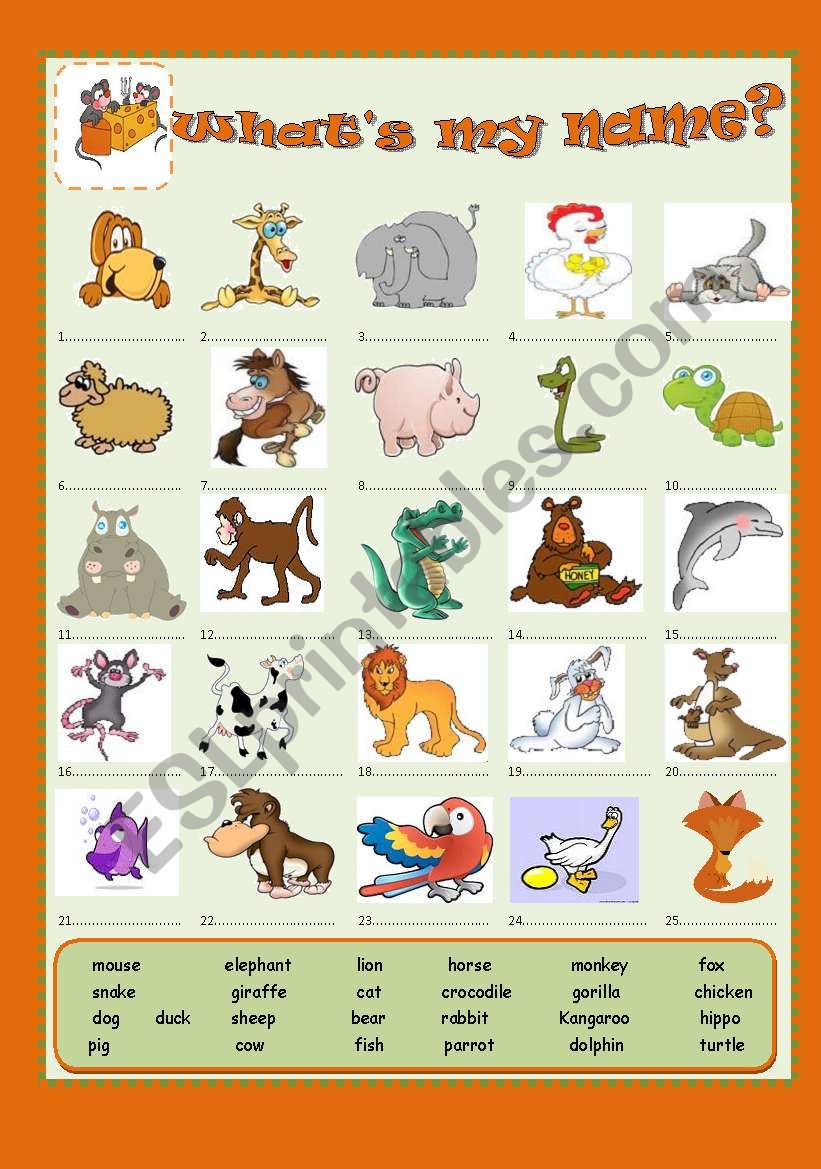 What´s my name? - ESL worksheet by freddy