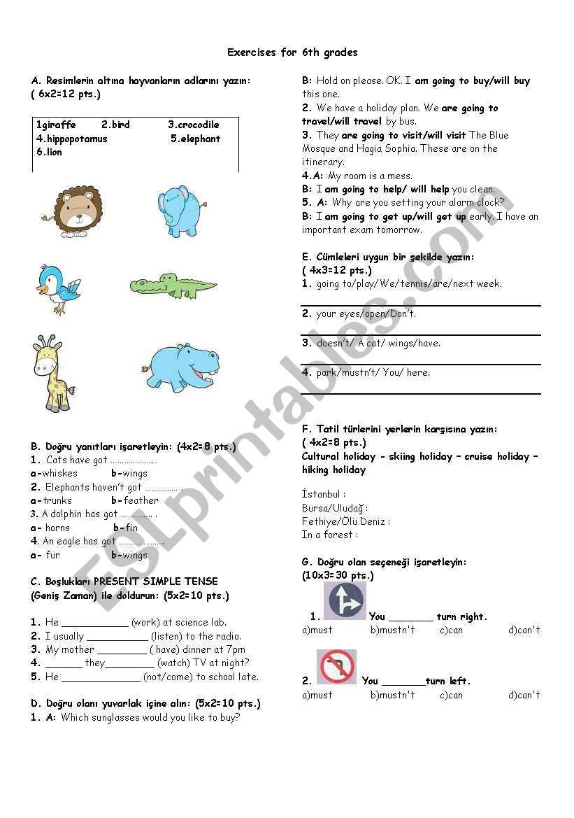  safety and present simple worksheet