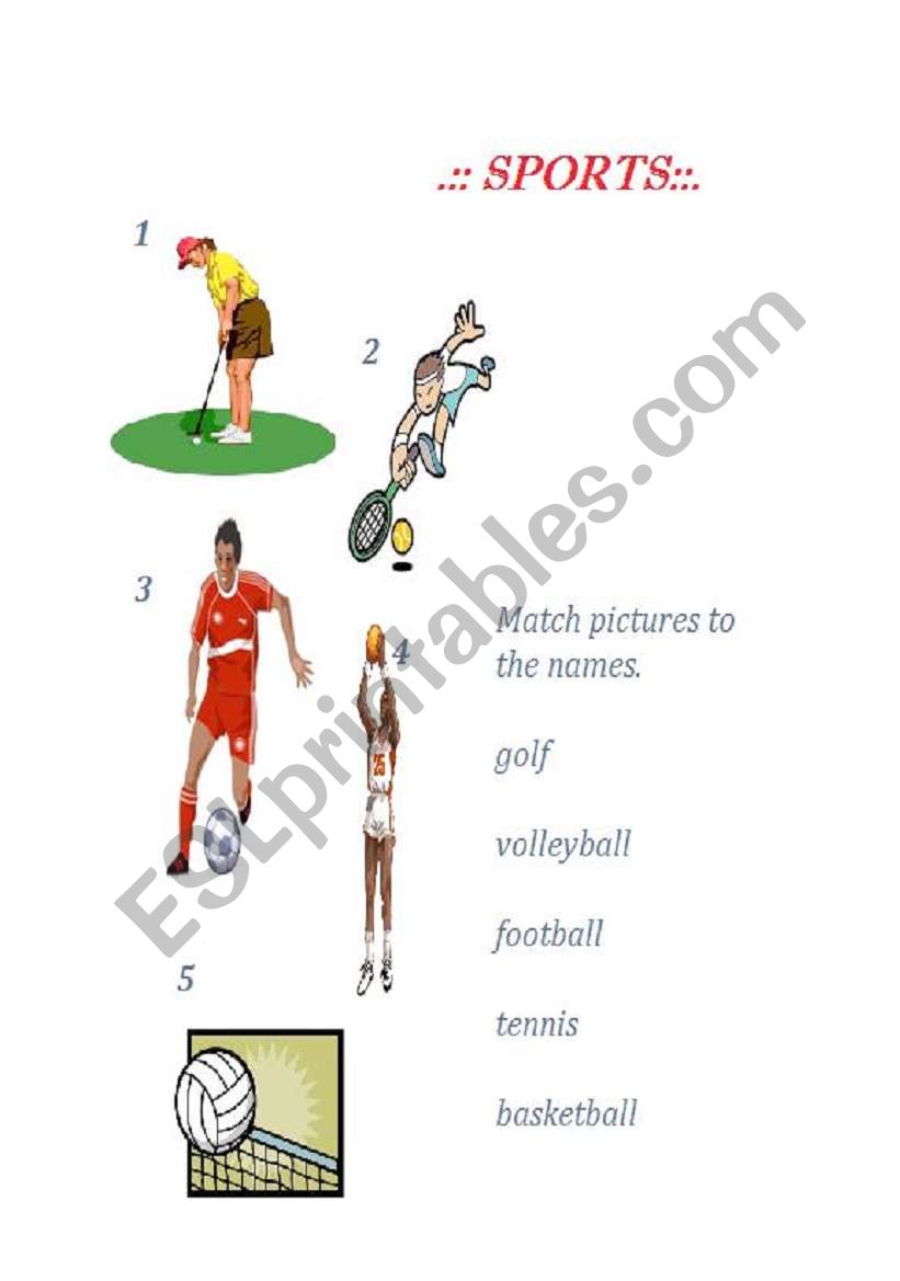 Sport vocabulary worksheet