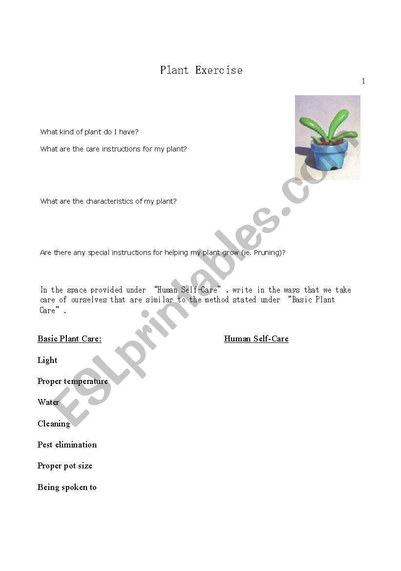 Plant Potting Exercise worksheet