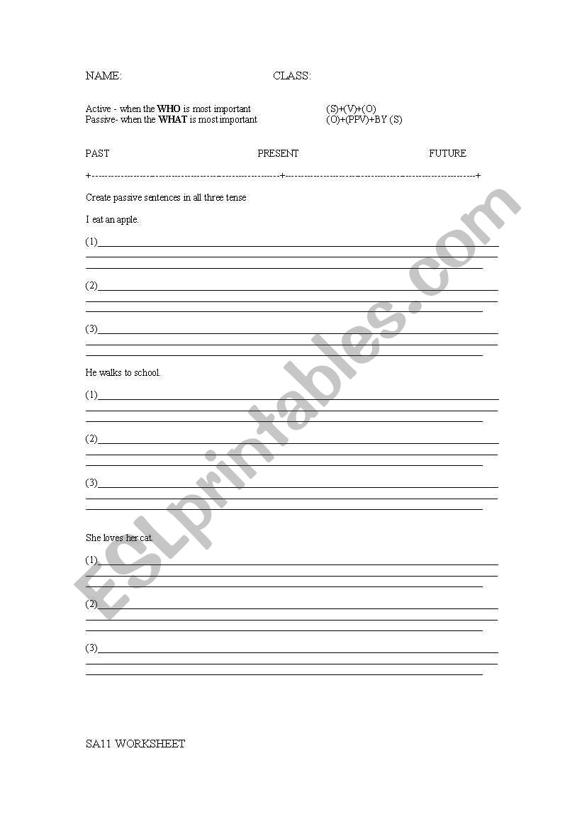 Active and Passive Practice worksheet