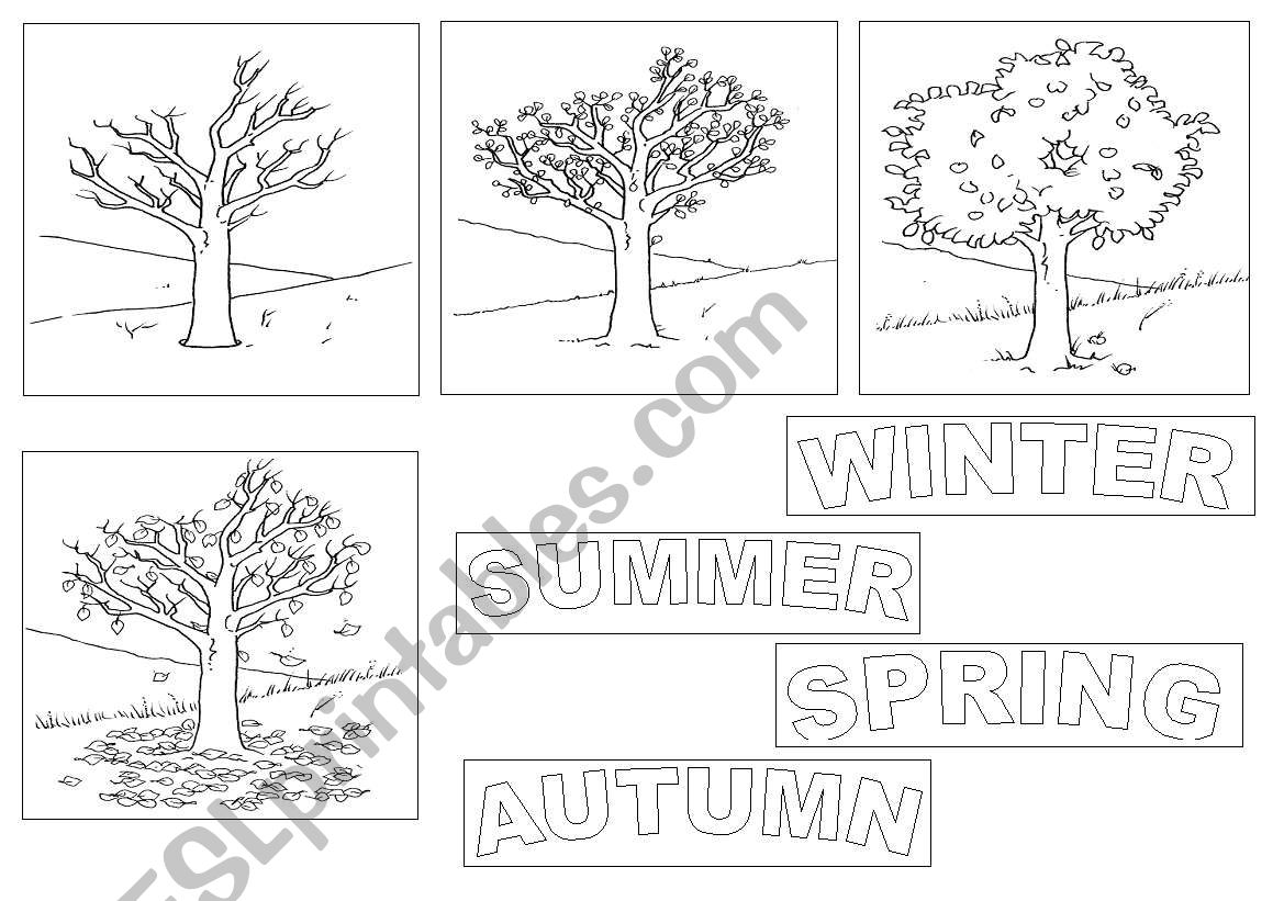 stagioni - disegni worksheet