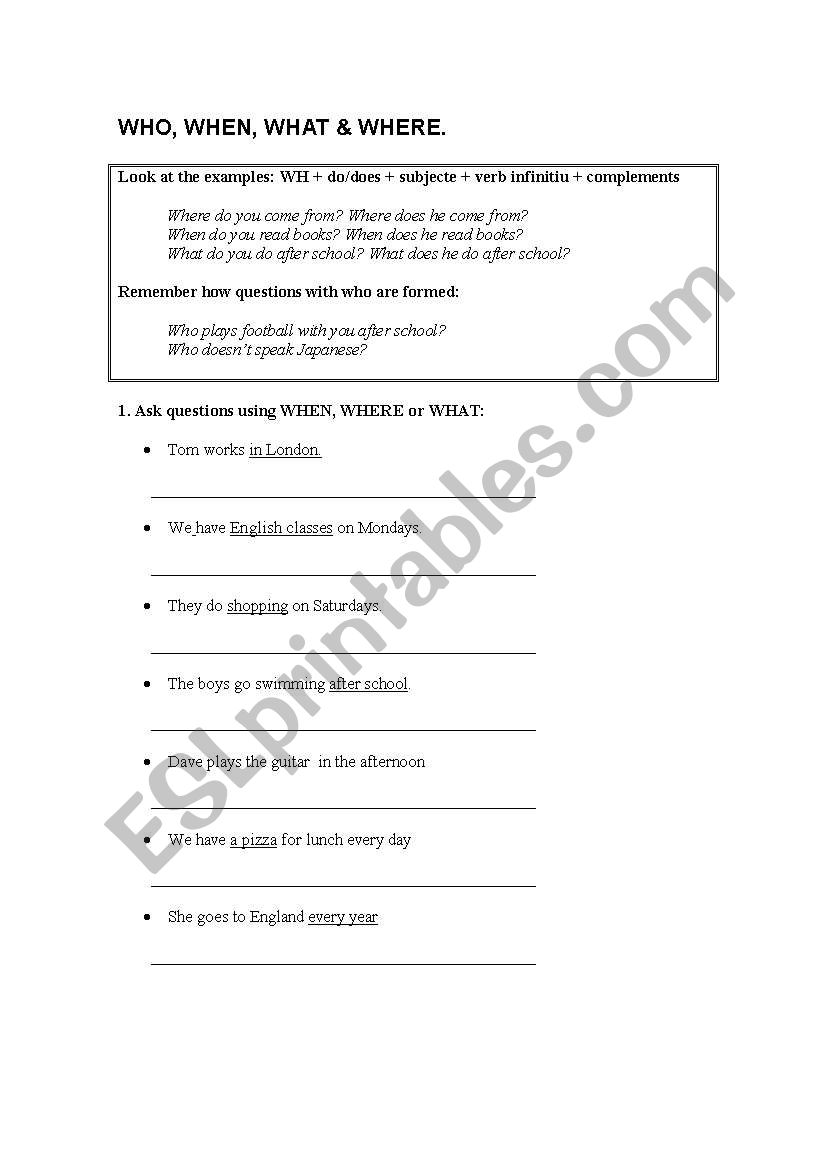 WHO, WHEN, WHAT & WHERE.  worksheet