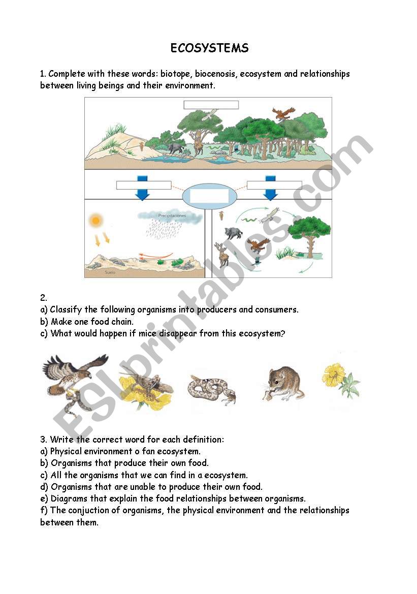 Ecosystems worksheet