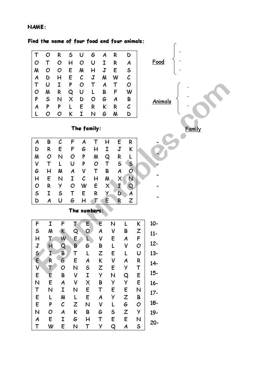 Vocabulary Revision worksheet