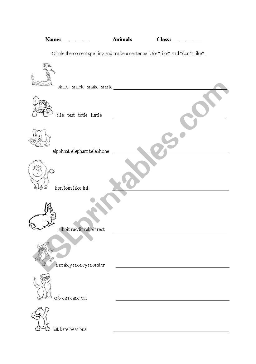 English worksheets: I like I don´t like animals