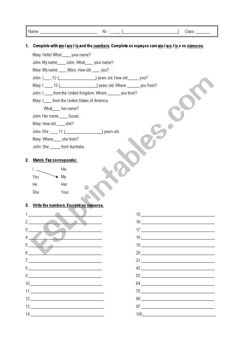 worksheet worksheet