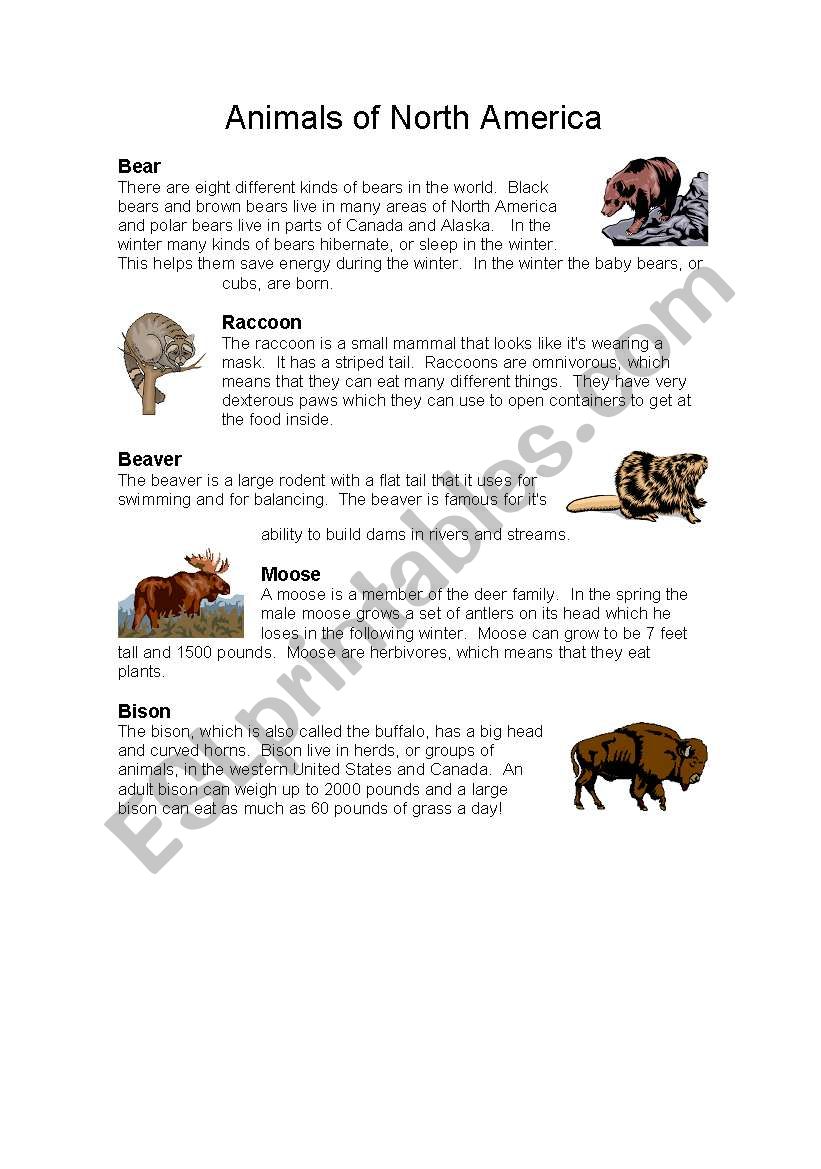 ANIMALS OF NORHT AMERICA worksheet