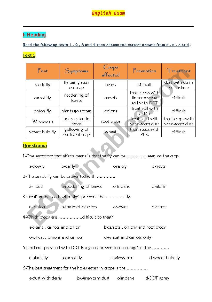 English Exam worksheet