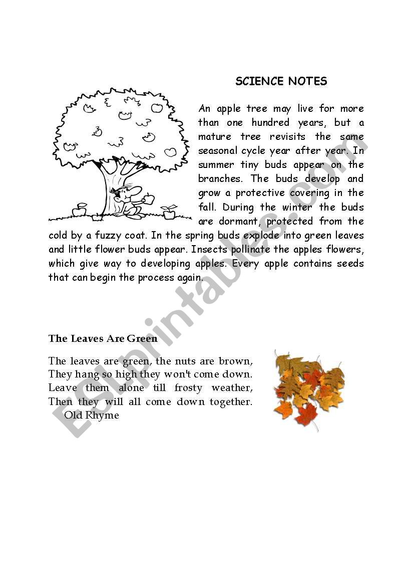 science note about trees worksheet