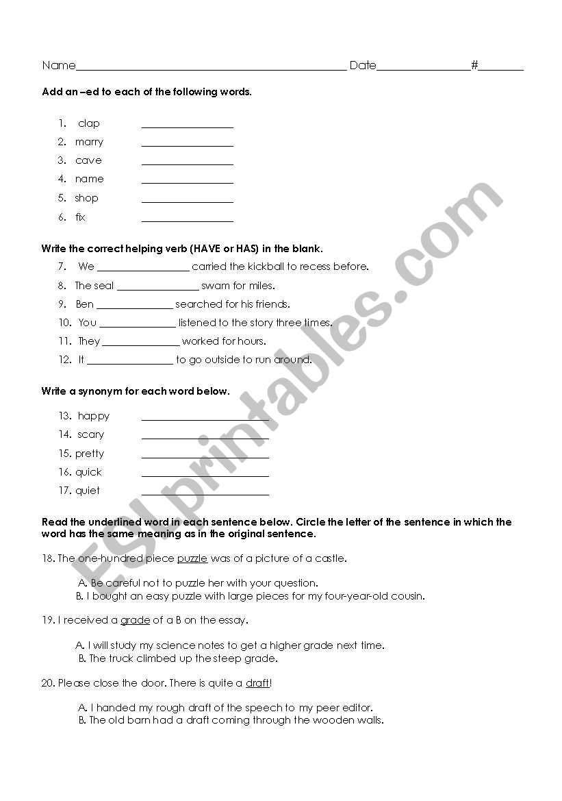 Skills Test for Seal Surfer worksheet