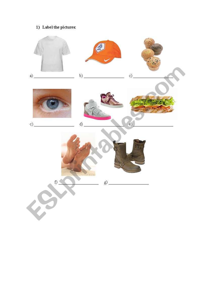 Label the pictures worksheet