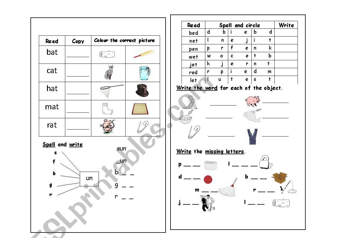 phonics - ESL worksheet by shooo