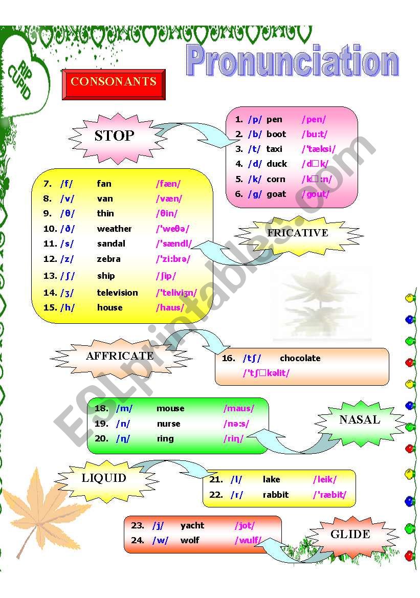 pronunciation esl worksheet by phucduong87