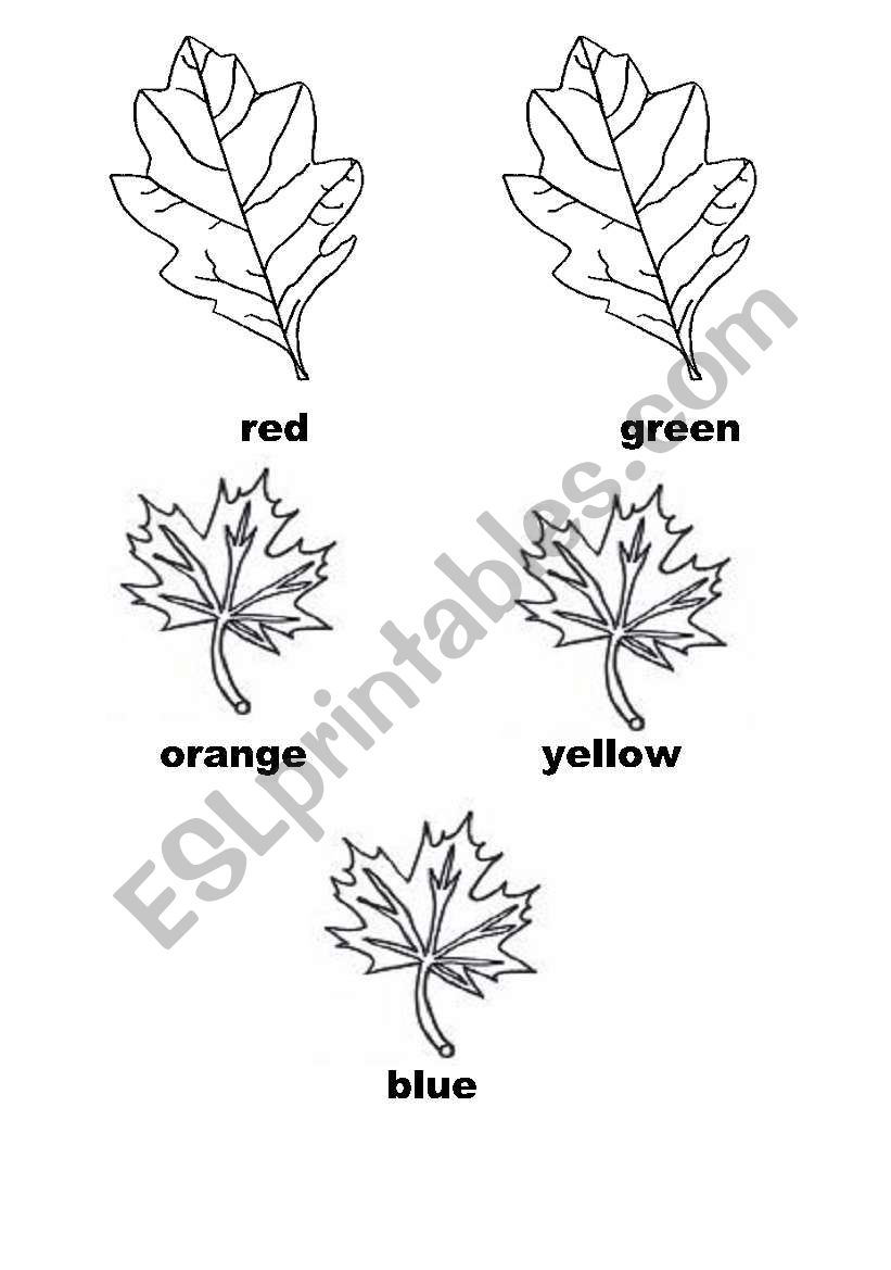 colors of the leaves worksheet