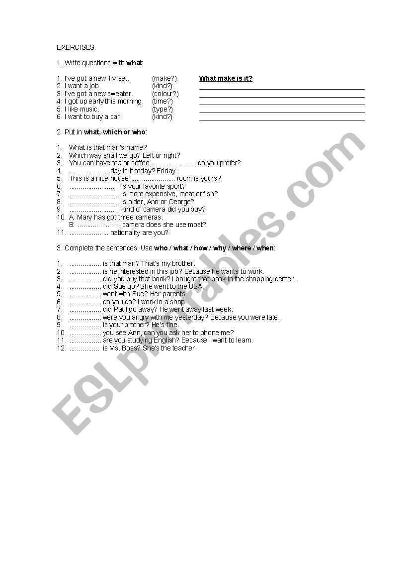 Wh-question exercises worksheet