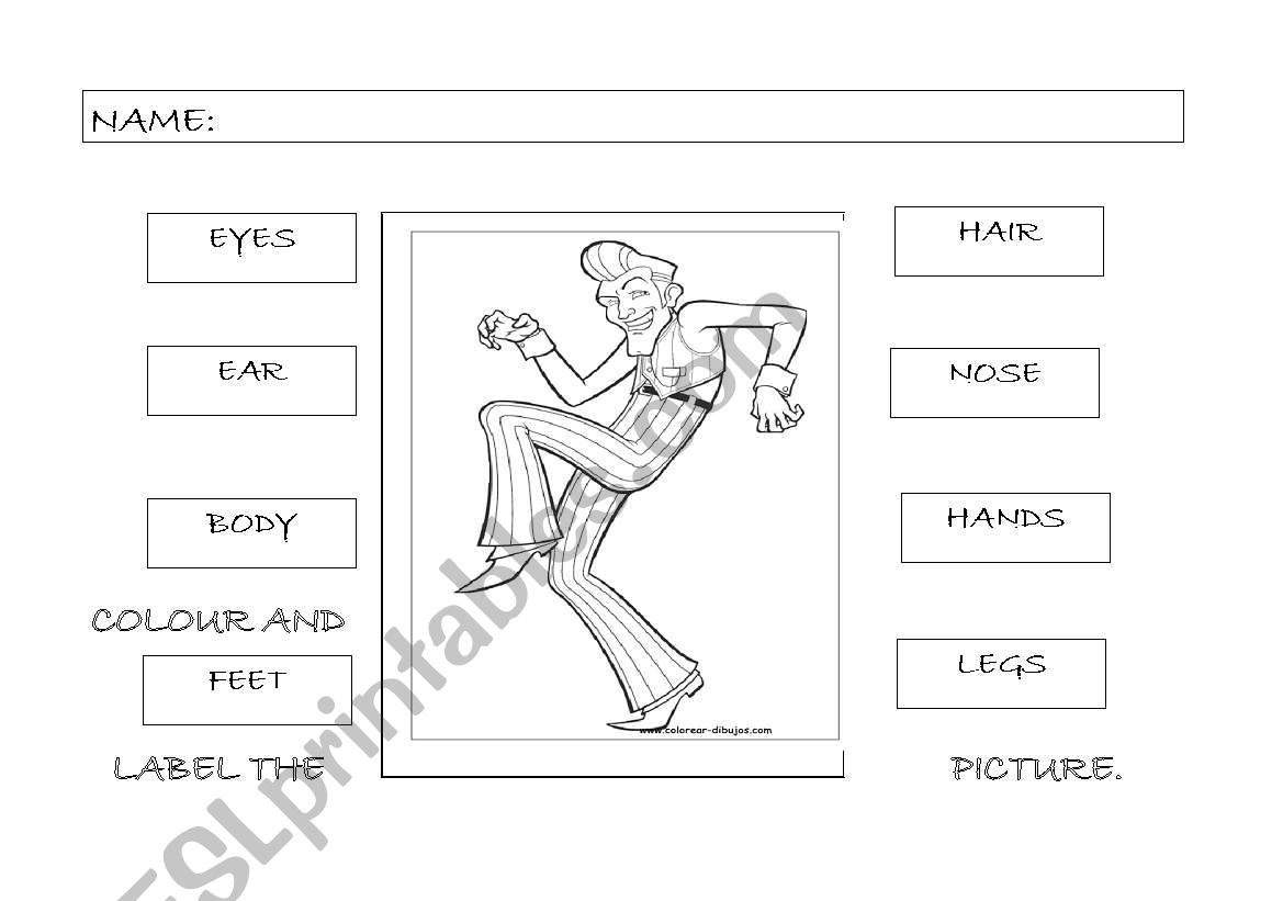 lacy town parts of the body. worksheet