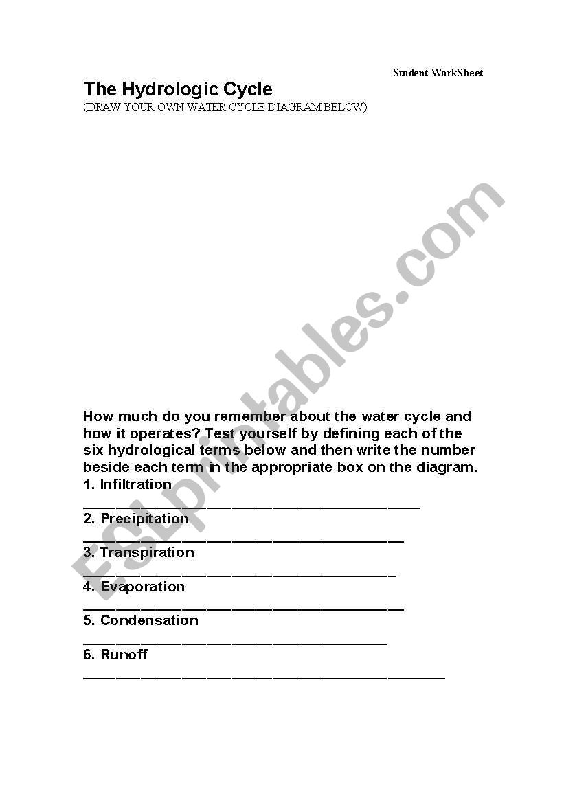 Water Cycle worksheet worksheet