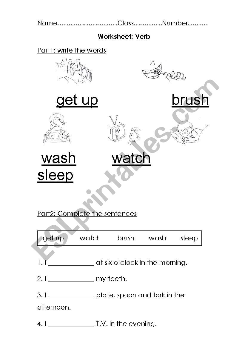 easy daily routine  worksheet