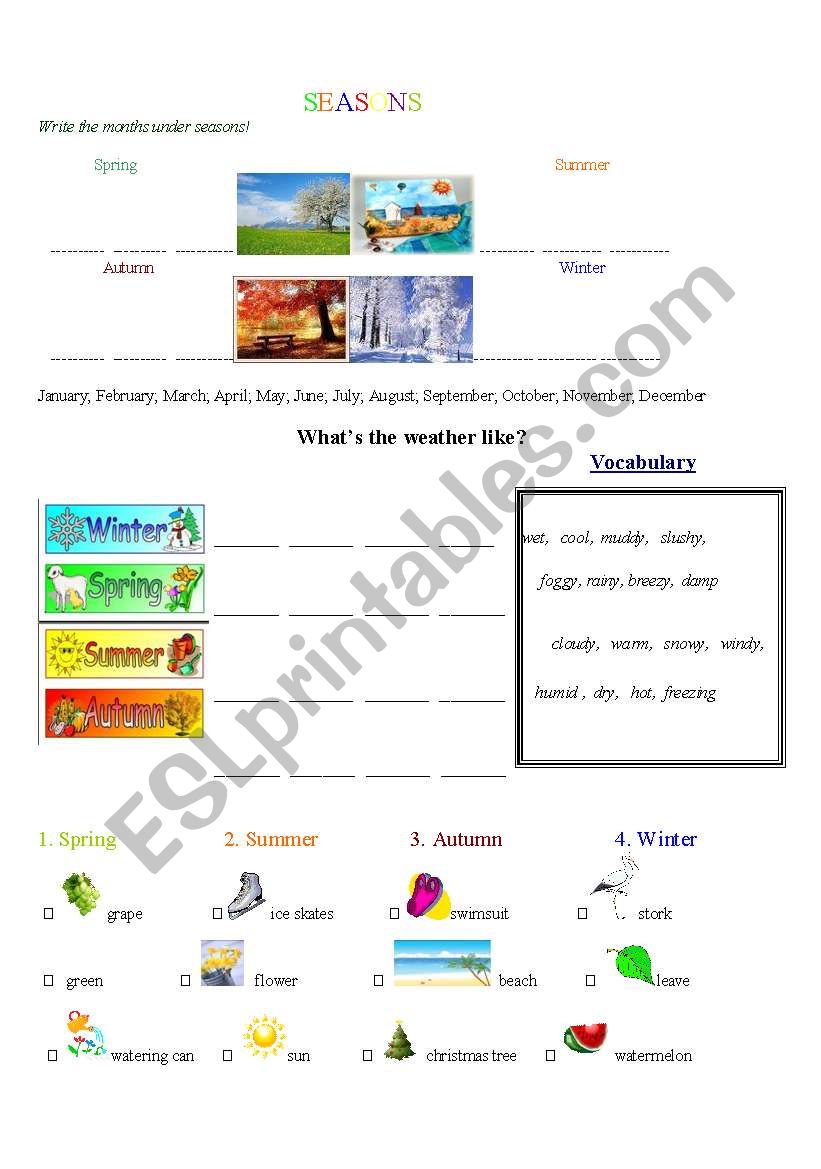 Seasons and weather worksheet