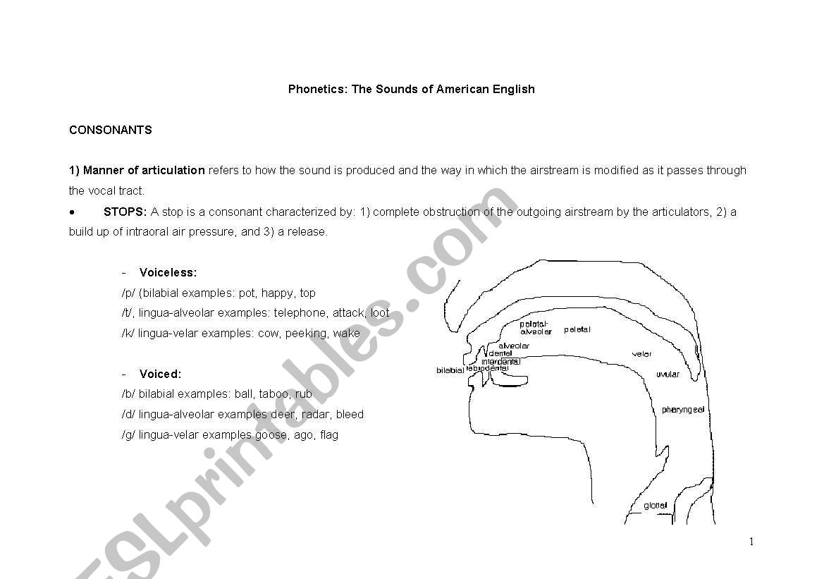 Phonetics Sheet worksheet