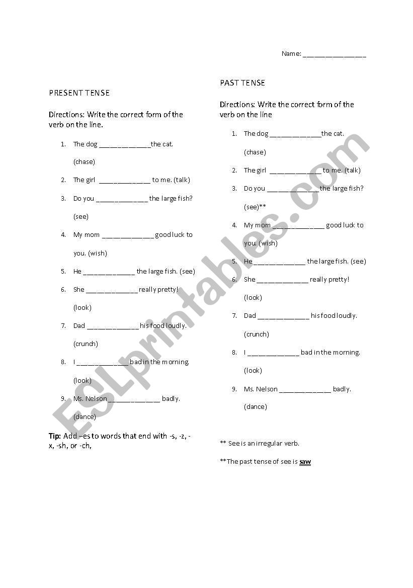 Past Tense Verbs vs. Present Tense Verbs