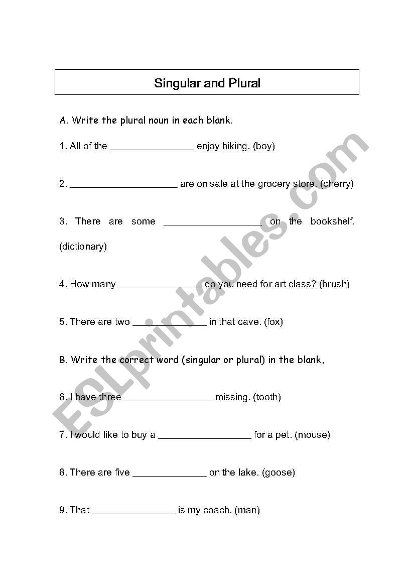 Singular and Plural worksheet