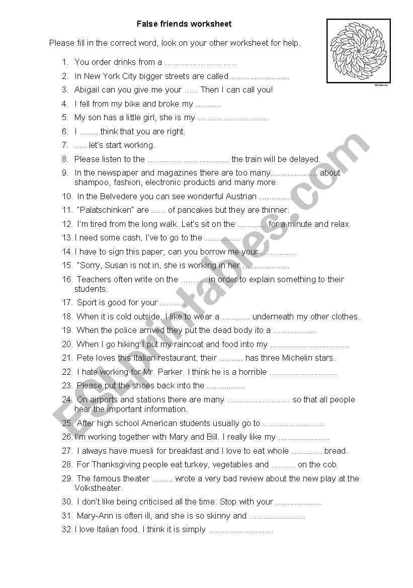 False Friends  worksheet