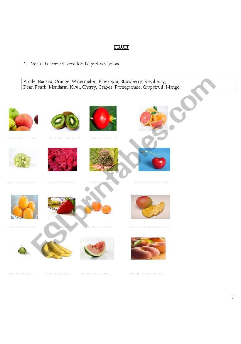 fruit lesson- exercises worksheet