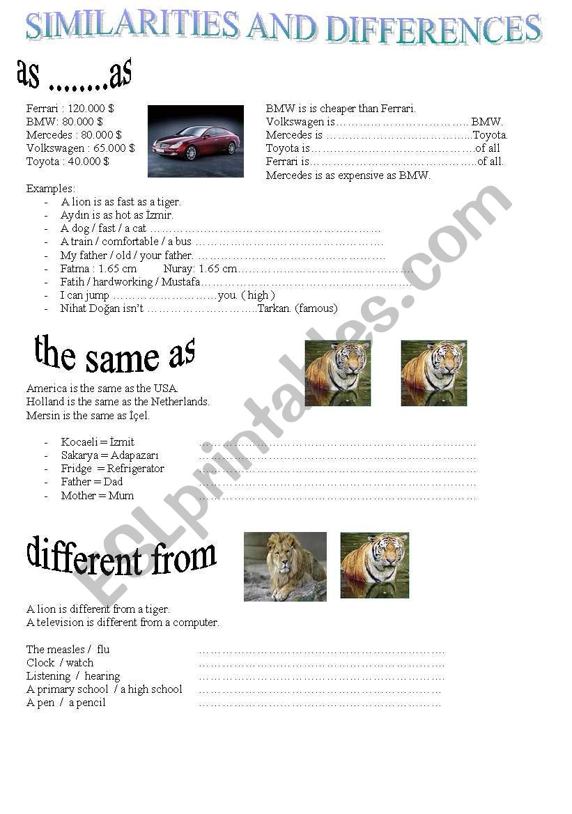 similarities and differences - ESL worksheet by ibrahim5567