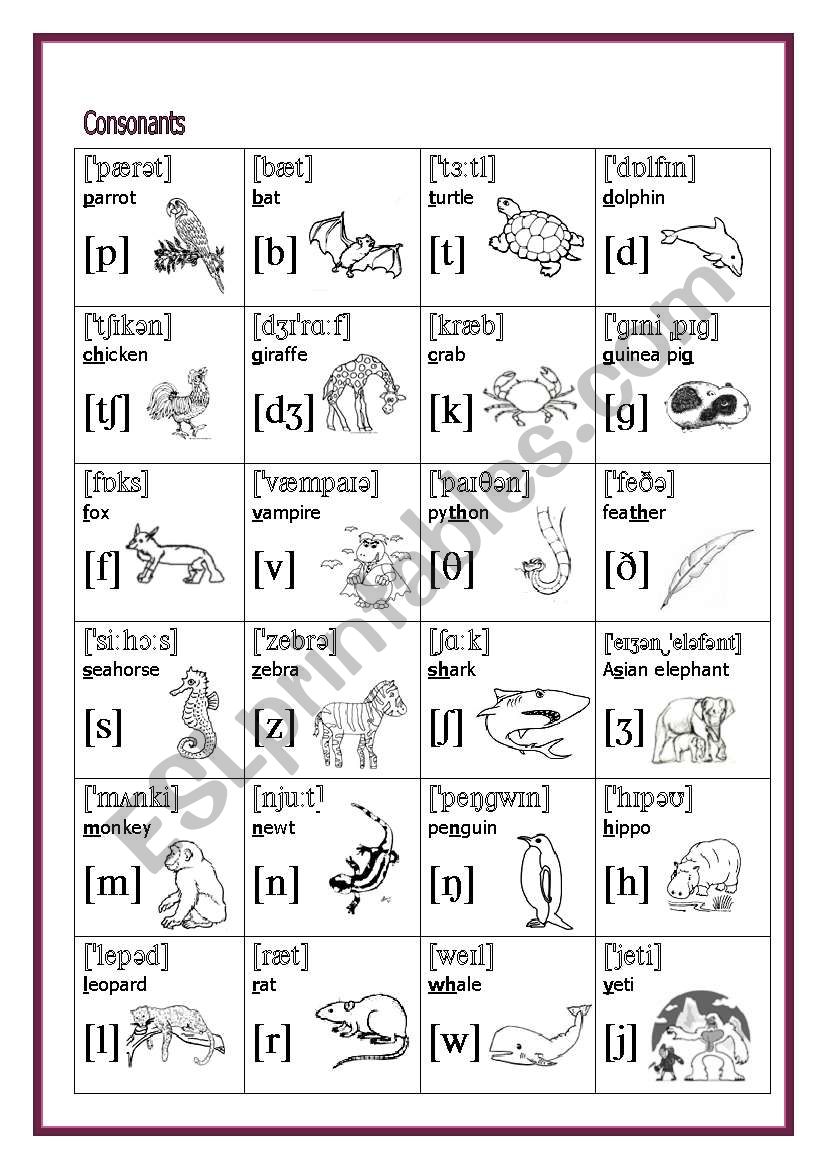the-international-phonetic-alphabet-international-phonetic-alphabet