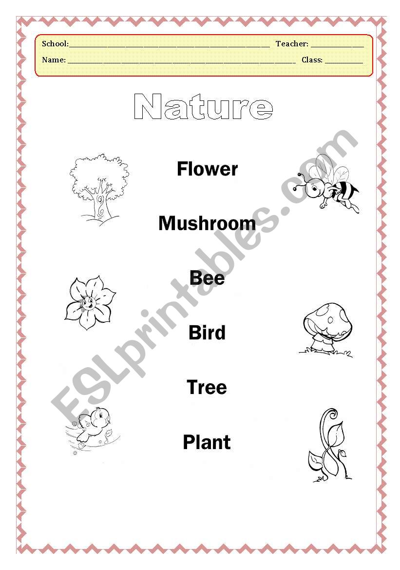 Nature worksheet