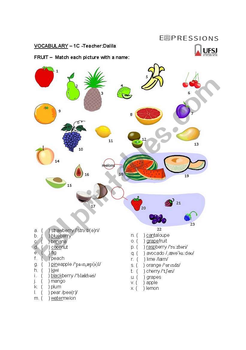 Fruit match exercise worksheet