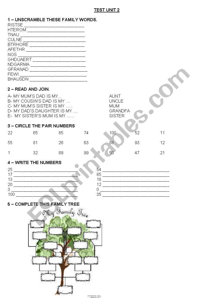 BEGGINER´S TEST - ESL worksheet by jupylandia