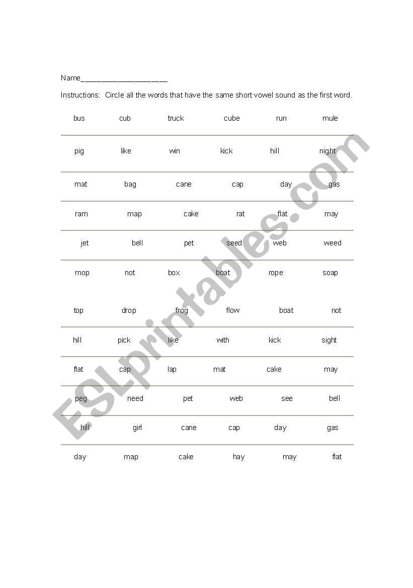 Short + Long Vowels worksheet