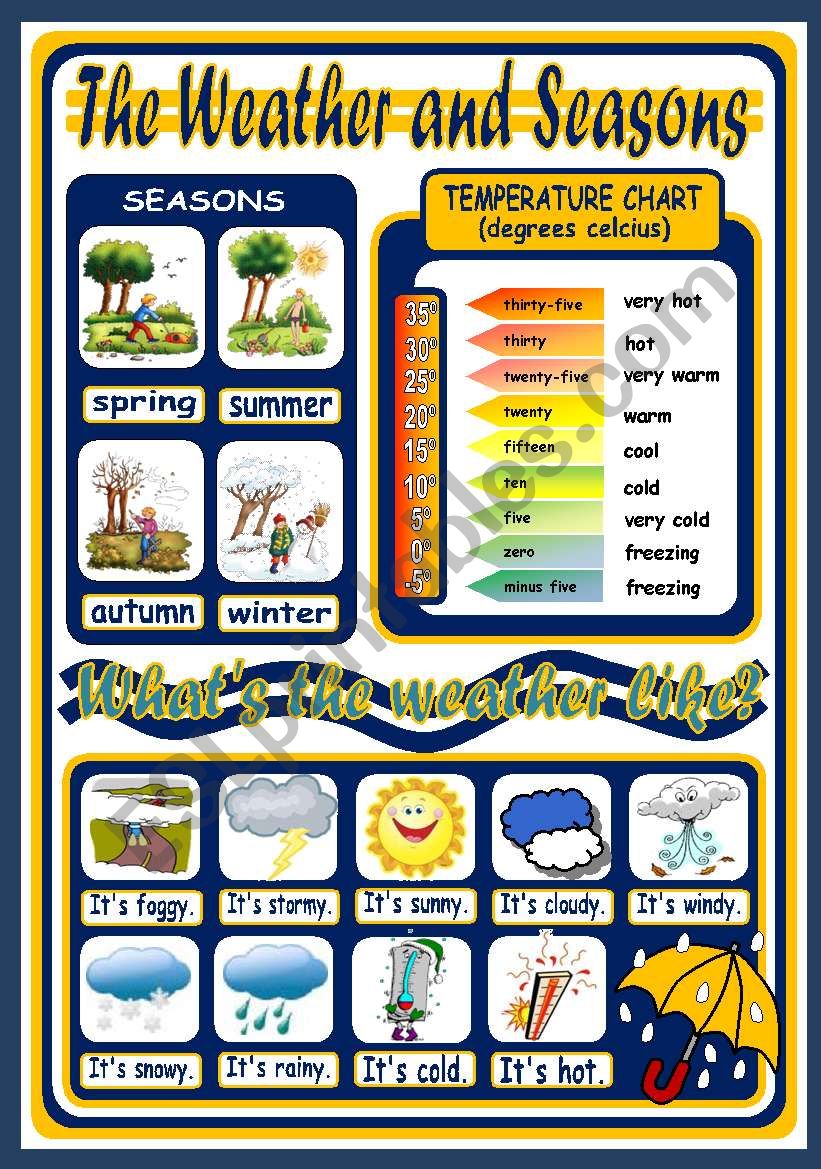 THE WEATHER POSTER worksheet