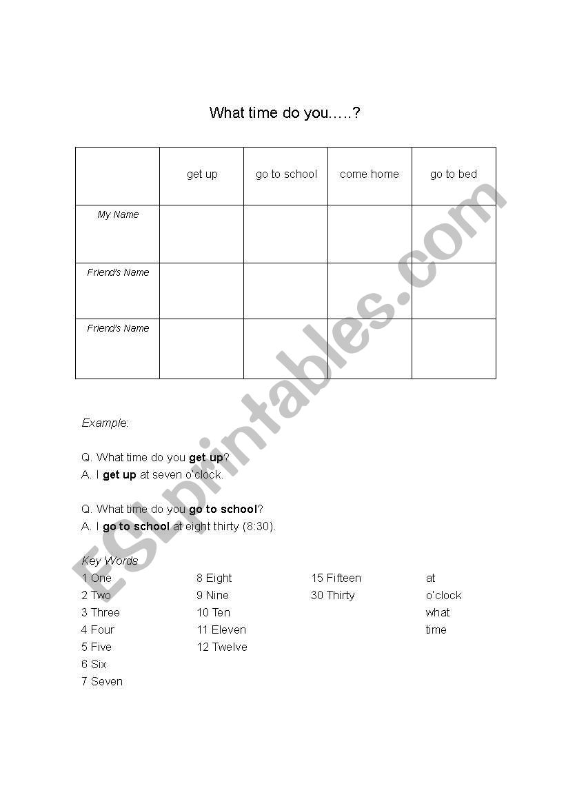 Daily Schedule Survey worksheet