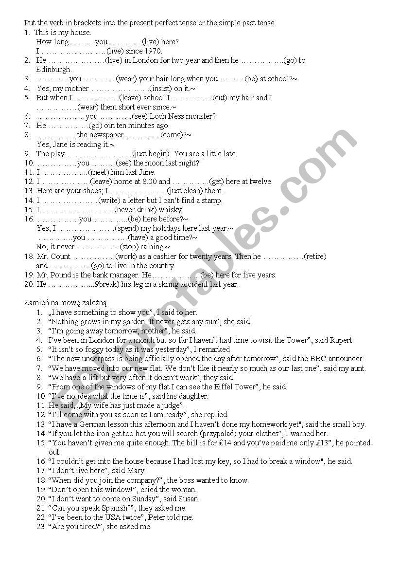 grammar exercises worksheet