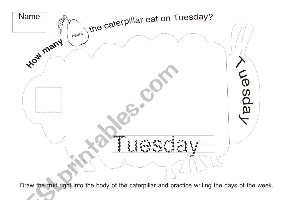 The very hungry caterpillar worksheet 2