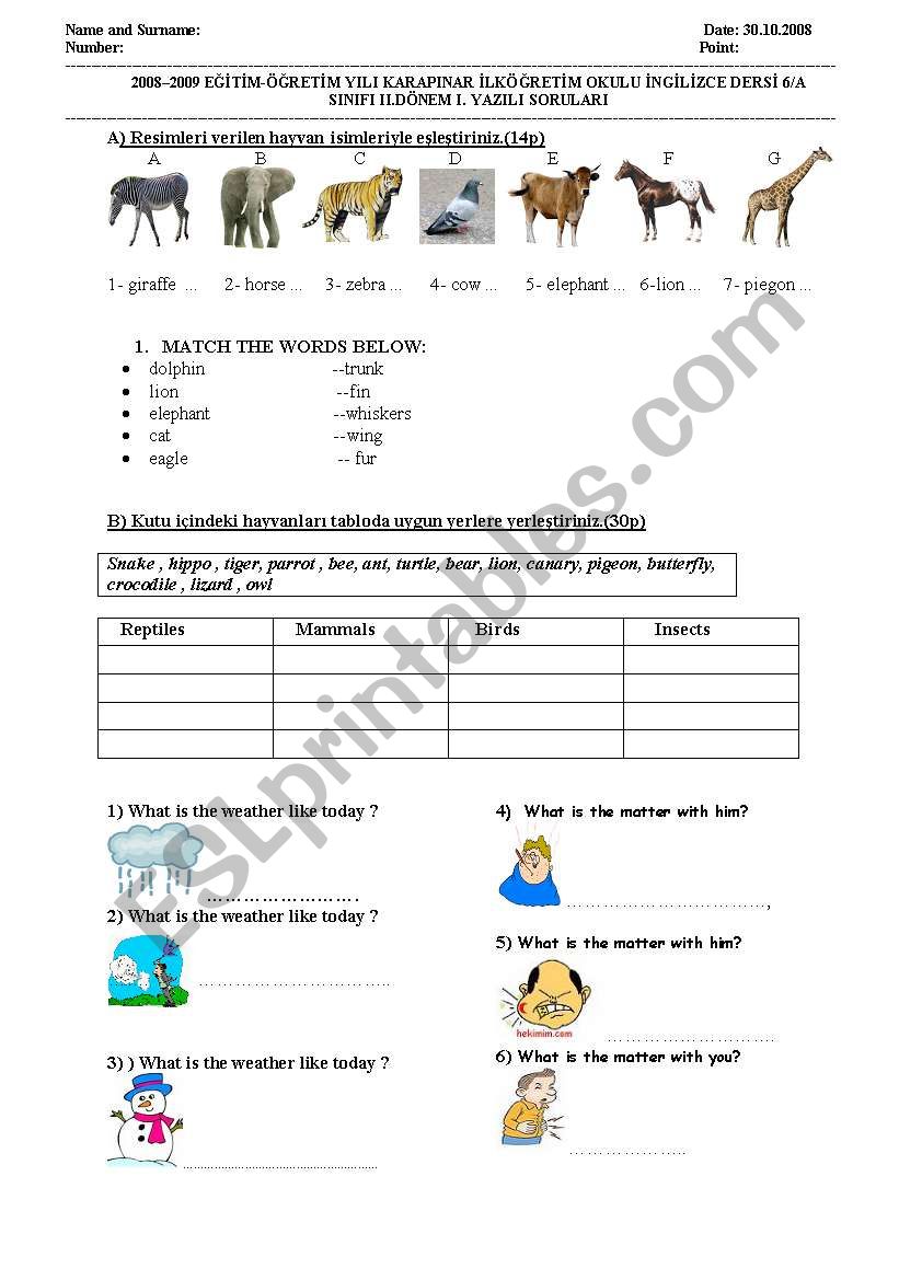 exam worksheet