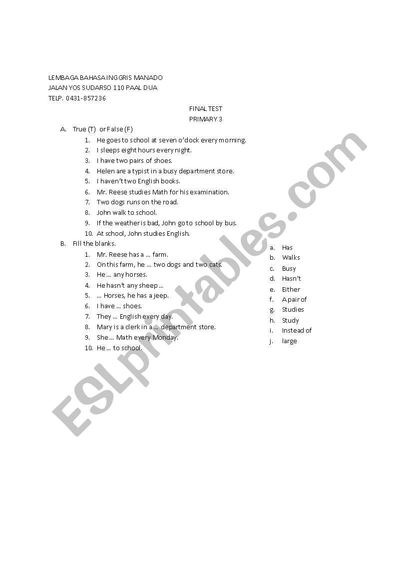 Final Test Primary 3 worksheet