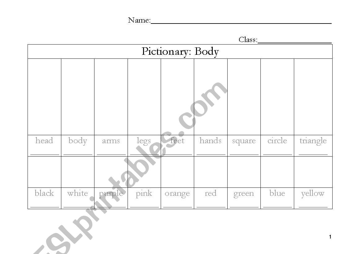 Body pictionary worksheet